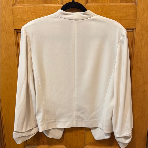 Aritzia Babaton Power waist blazer - Picture 9 of 13